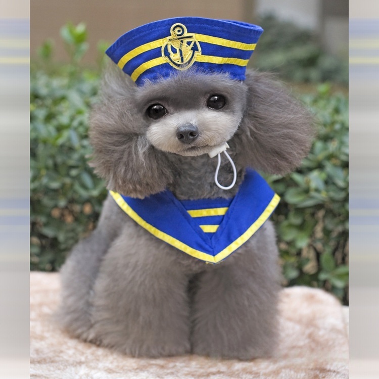 Navy Sailor Dog Costume Pet Halloween Outfit with Hat and Anchor Design